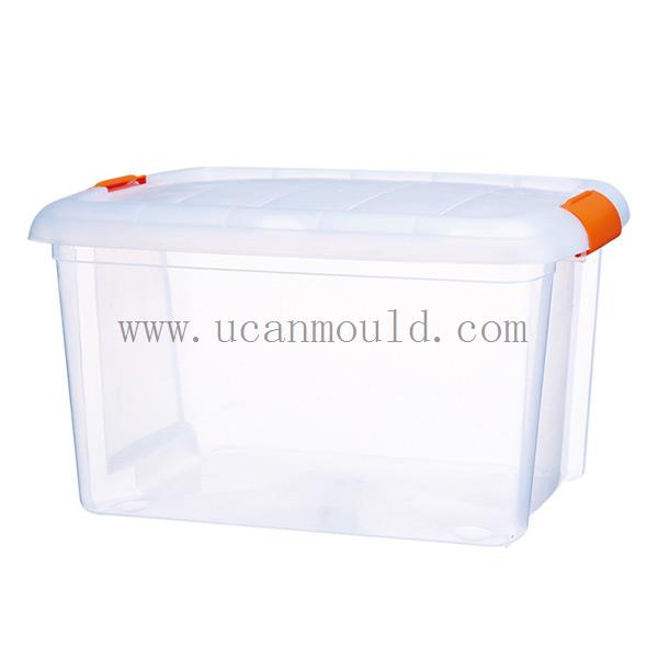 Commodity-Mould-19